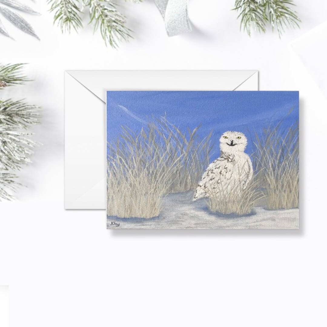 Snowy Owl Christmas Card, Winter Bird Art, Cape Cod MA - Etsy