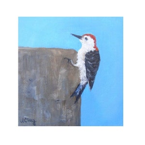 Puede incluir: Pintura original de un carpintero de cabeza roja posado sobre una superficie gris sobre un fondo azul claro. El ave tiene la cabeza roja, el pecho blanco y las alas negras y blancas. La firma del artista, J. Clay, está en la esquina inferior izquierda.
