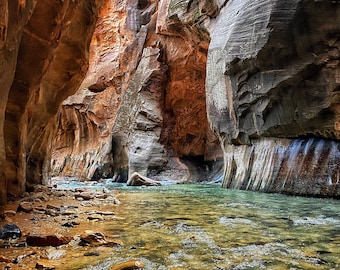 The N selber - Zion National Park, Utah - Fotografie