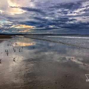 Plover Reflections - Wells Beach, Maine - Photography