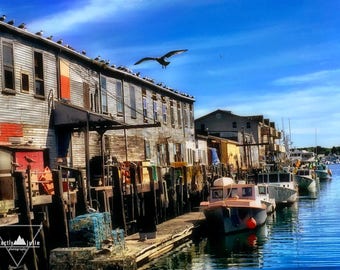 Dock Observers - Portland, Maine - Photography