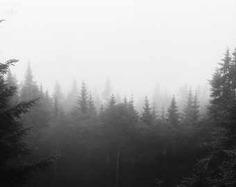 Moosilauke in the Clouds - NH 48 4000 Footers - Black & White Photography