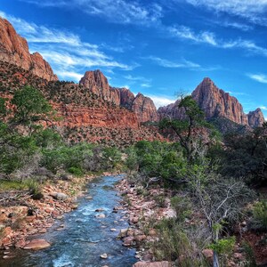 The Watcher - Zion National Park, Utah - Photography