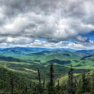 Mt. Osceola - Trail Views - NH 48 4000 footers - Lincoln, NH