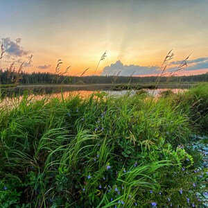 Bass Harbor - Acadia, Maine Sunsets - Photography Mount Desert Island