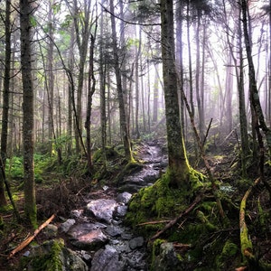 Along the way - Mount Abraham to Mount Ellen, Vermont 4000 footers - Photography