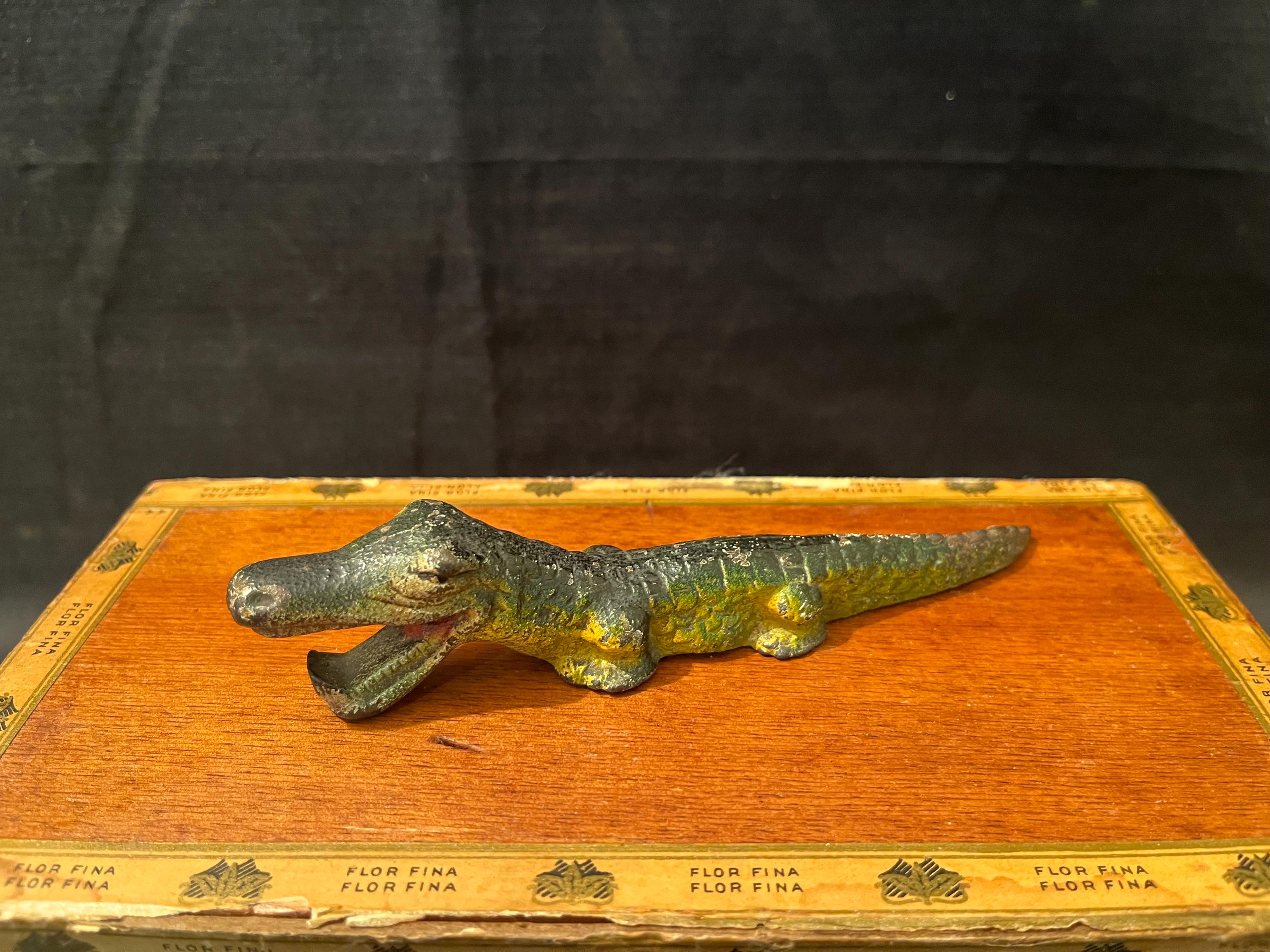 Crocodile D'Eau Salée - Photo gratuite sur