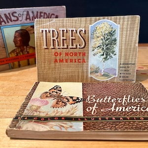 Indians of America, Trees of North America, Butterflies of America, Children&#39;s Reference Book, Whitman Publishing Company