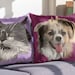 see more listings in the Family Pets section