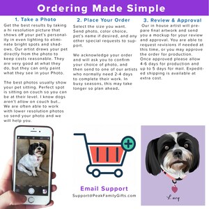 May include: A guide to ordering custom pet portraits. The steps include taking a photo of your pet, placing an order, and reviewing and approving the final artwork. The guide includes a shopping cart icon, a photo of a dog, and a sample custom pet portrait.