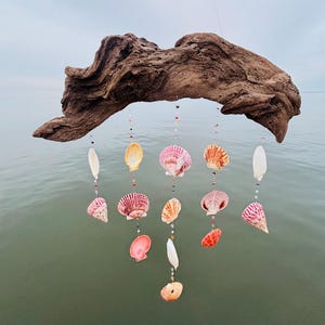 Puede incluir: Un móvil de conchas marinas hecho a mano. El móvil presenta un trozo de madera flotante con conchas marinas y cuentas de colores colgando de él. Las conchas son en tonos de rosa, naranja y blanco. El fondo es una masa de agua.