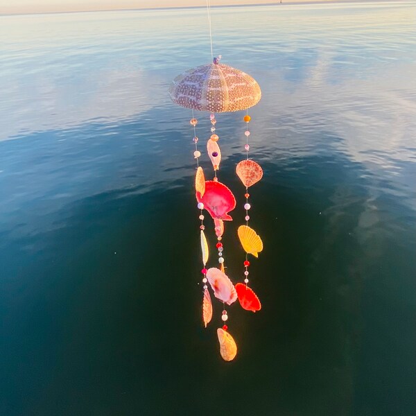 Sea Shell Wind Chime - Etsy