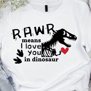 Dino Valentine PNG, Valentine PNG, rawr means I love you PNG