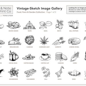 Vintage-Sketch Apple Product Labels • Custom Stickers for Packaging, Bottles, and Mason Jars • by Nest & Note Print Co. (Paper + Pear) zdjęcie 7
