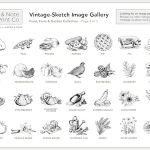 Vintage-Sketch Apple Product Labels • Custom Stickers for Packaging, Bottles, and Mason Jars • by Nest & Note Print Co. (Paper + Pear) zdjęcie 9