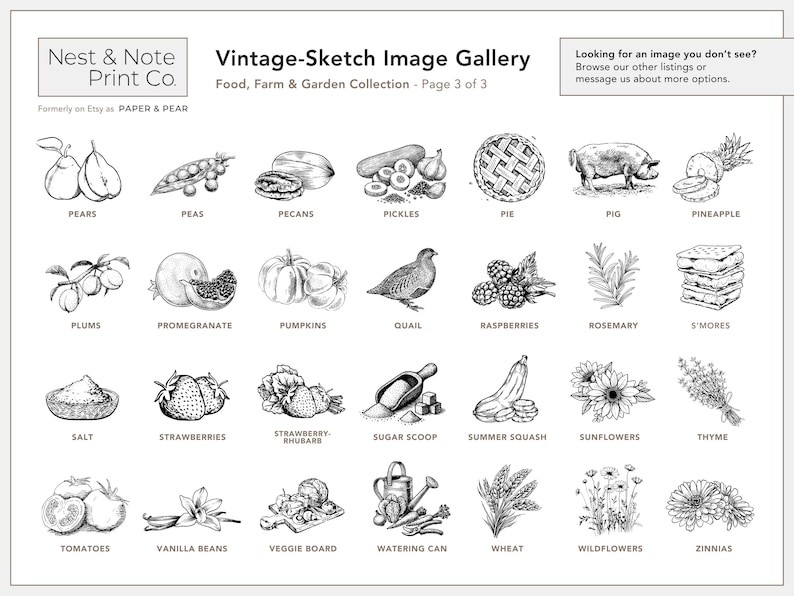 Vintage-Sketch Honey Labels • Personalized • Water and Oil Resistant • by Nest & Note Print Co. (Paper + Pear) image 8