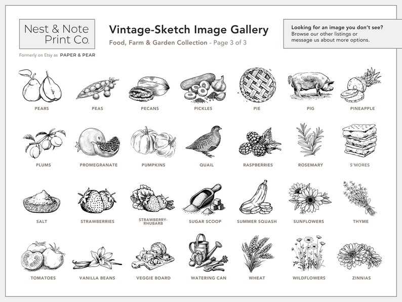 Vintage-Sketch Egg Carton Labels • Personalized • White or Brown Farm and Homestead Labels • by Nest & Note Print Co. (Paper + Pear) image 9