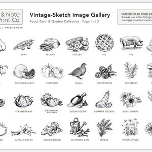 Vintage-Sketch Baked Goods Labels • Personalized • Water and Oil Resistant • by Nest & Note Print Co. (Paper + Pear) image 8