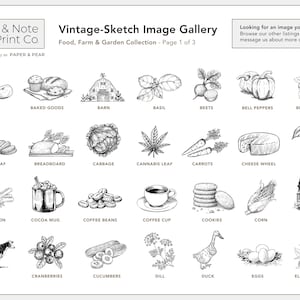 Vintage-Sketch Baked Goods Labels • Personalized • Water and Oil Resistant • by Nest & Note Print Co. (Paper + Pear) image 6
