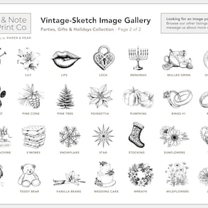 Vintage-Sketch Apple Product Labels • Custom Stickers for Packaging, Bottles, and Mason Jars • by Nest & Note Print Co. (Paper + Pear) zdjęcie 11