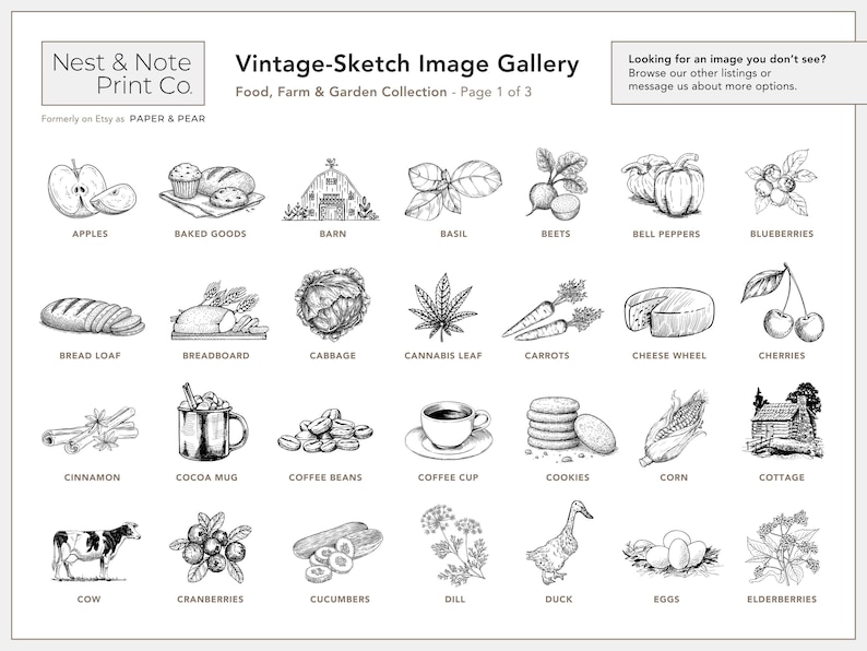 Vintage-Sketch Honey Labels • Personalized • Water and Oil Resistant • by Nest & Note Print Co. (Paper + Pear) image 6
