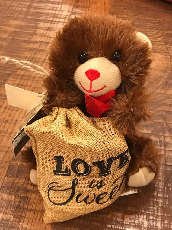 teddy bear bag