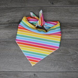May include: A colorful striped bandana with a rainbow pattern. The bandana is tied in a knot at the top.