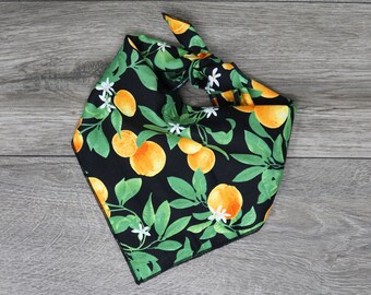 Bandana pour chien - Bandana d’été aux oranges - Bandana pour chien de printemps - Tie On - « Tangelo »