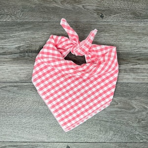 May include: A pink and white gingham bandana with a knotted design.