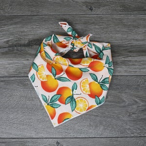 Dog Bandana - Oranges Summer Bandana - Spring Dog Bandana - Tie On - &quot;Valencia&quot;