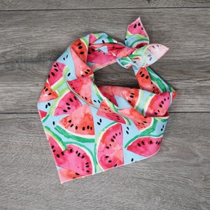 Dog Bandana - Summer Spring Dog Bandana - "Watermelon"