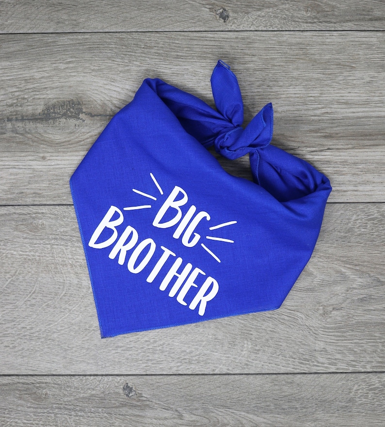 Big Brother Bandana Pregnancy Announcement Dog Bandana Tie Etsy