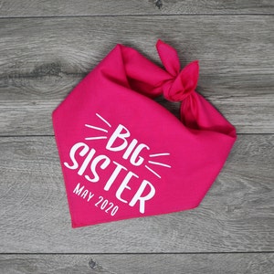 Big Sister Dog Bandana - Pregnancy Announcement Dog Bandana - Tie On