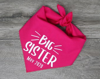 Big Sister Dog Bandana - Pregnancy Announcement Dog Bandana - Tie On