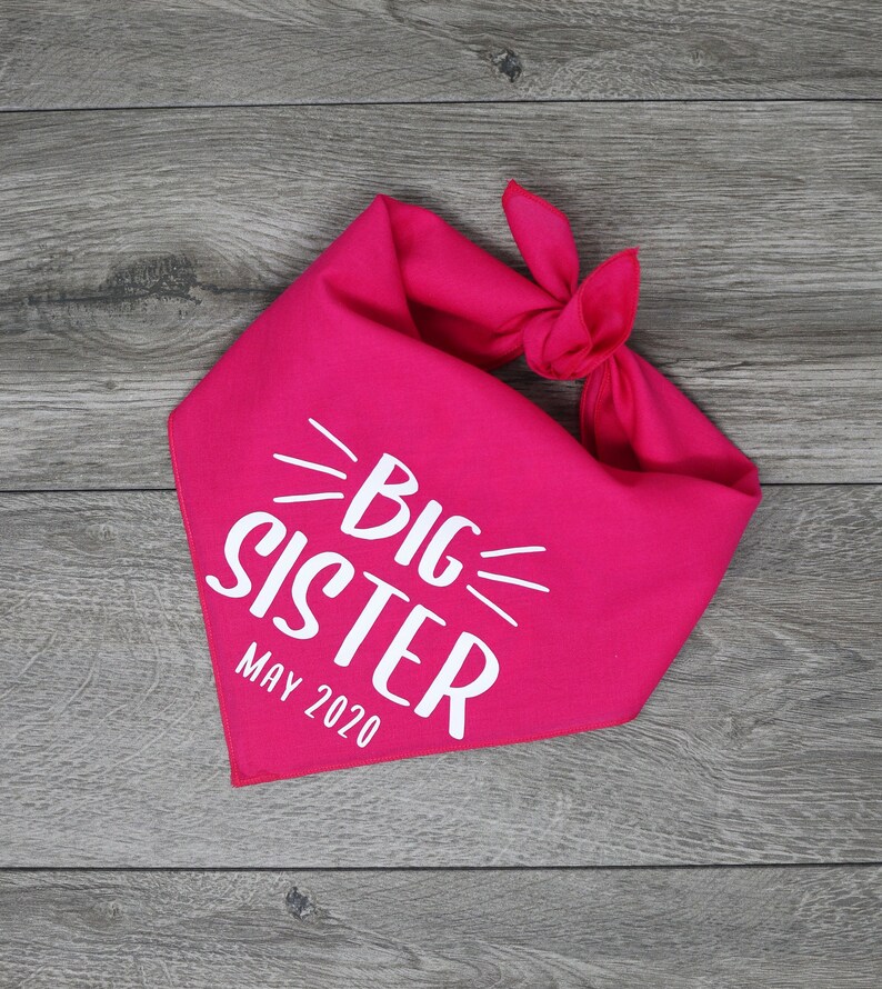 Big Sister Dog Bandana Pregnancy Announcement Dog Bandana Etsy