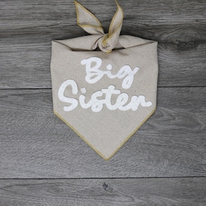 Custom Dog Bandana - Embroidered by Hand - Big Brother Big Sister Announcement - Baby Security Big Sister