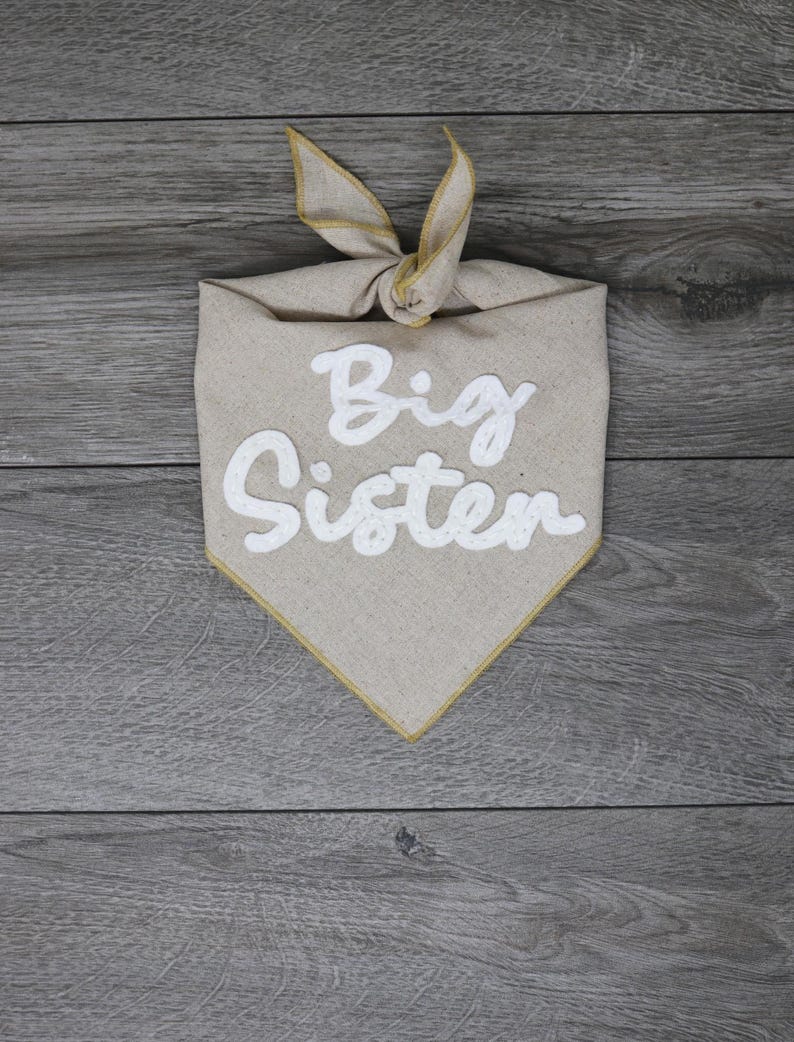 Custom Dog Bandana - Embroidered by Hand - Big Brother Big Sister Announcement - Baby Security Big Sister