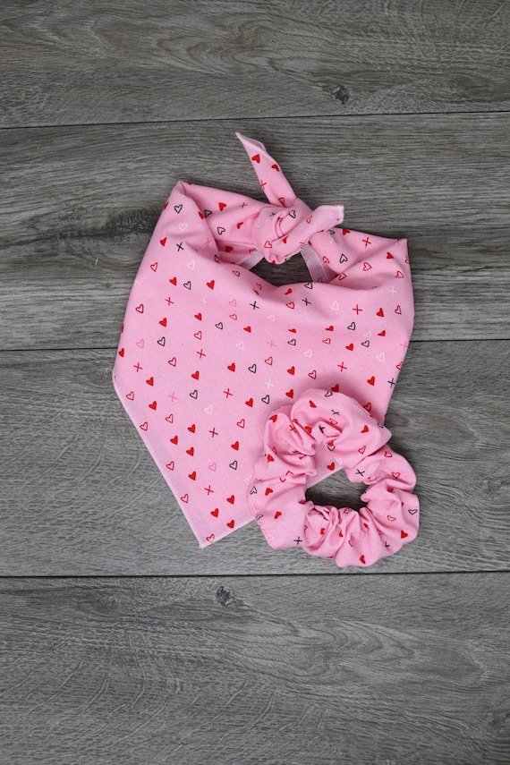 over the collar dog bandana with hair scarf or scrunchie Matching valentine hearts and flowers dog bandana with scrunchie or headband set