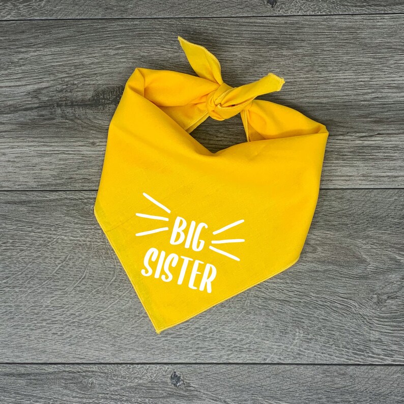 Big Sister Dog Bandana Pregnancy Announcement Dog Bandana Etsy