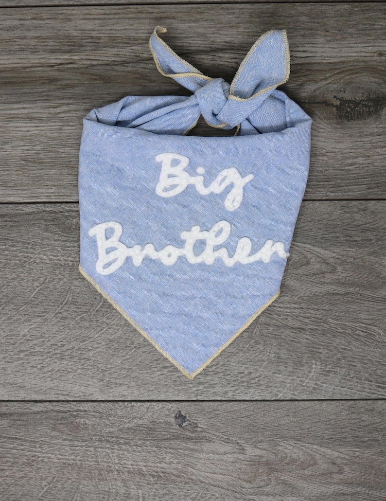 May include: A light blue triangular pet bandana featuring the white embroidered text Big Brother. The fabric has a heathered texture with a light tan finished edge and a knotted top section designed to be tied around a pet's neck for a secure fit.
