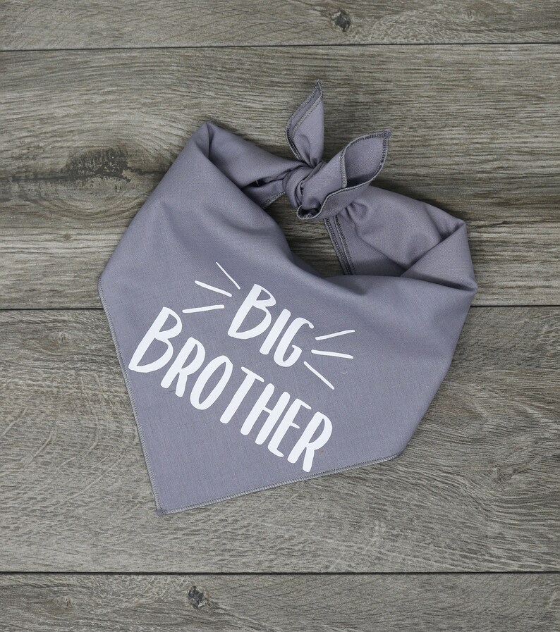 Big Brother Bandana Pregnancy Announcement Dog Bandana Tie On Etsy — free download