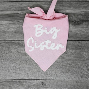 May include: A light pink triangular pet bandana featuring the white embroidered text Big Sister in a cursive font. The fabric is tied at the top with a knot, creating a pointed bottom edge. The design is simple and consists of a solid color fabric.