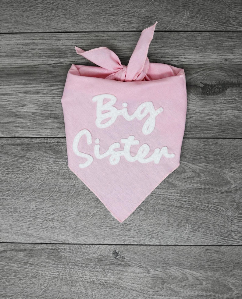 May include: A light pink triangular pet bandana featuring the white embroidered text Big Sister in a cursive font. The fabric is tied at the top with a knot, creating a pointed bottom edge. The design is simple and consists of a solid color fabric.