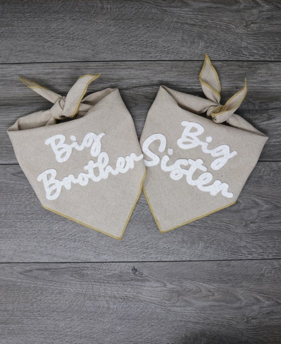 Custom Dog Bandana - Embroidered by Hand - Big Brother Big Sister Announcement - Baby Security