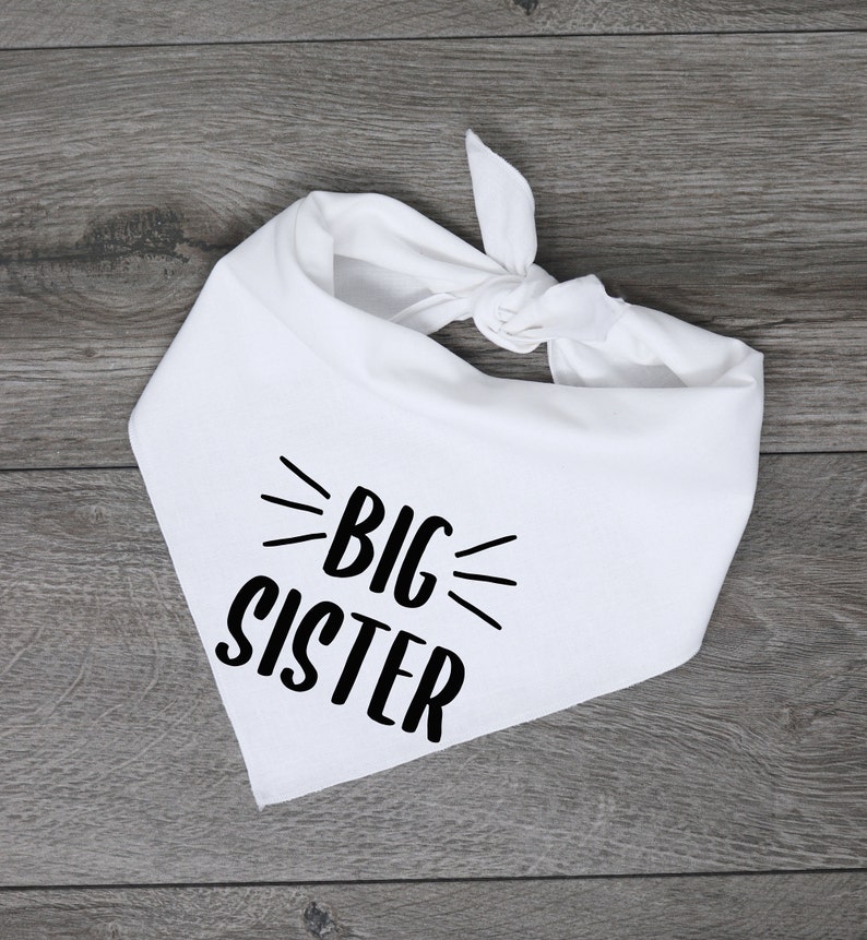 Big Sister Dog Bandana Pregnancy Announcement Dog Bandana Etsy