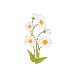 May include: A cluster of white daisies with yellow centres, embroidered on a green stem with leaves.