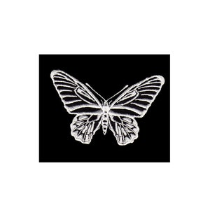 Könnte beinhalten: Ein weißer Schmetterling mit detaillierten Flügeln ist auf einem schwarzen Hintergrund gestickt.