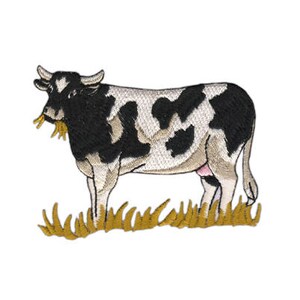 Könnte beinhalten: Schwarz-weißes Rind mit braunen Flecken, das auf einer Wiese mit gelbem Gras steht. Die Kuh frisst Heu.