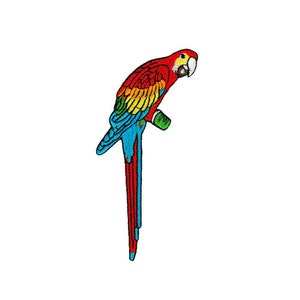 May include: A red, yellow and blue parrot with a long tail, perched on a branch. The parrot is facing to the right.