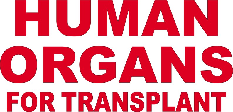 Human Organs For Transplant Decal/Sticker for Coolers | Etsy